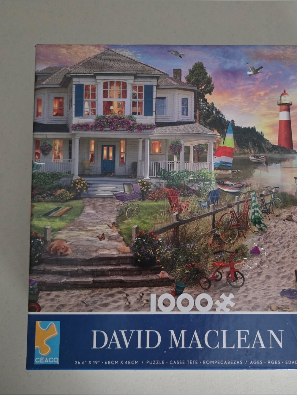 David MacLean Seaside House 1000-Piece Jigsaw Puzzle - Multi